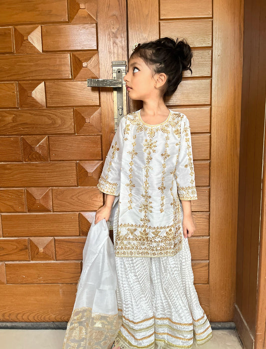 Silk Fabric Shirt With Crush Sharara Beautiful Artical Handmade work on shirt.