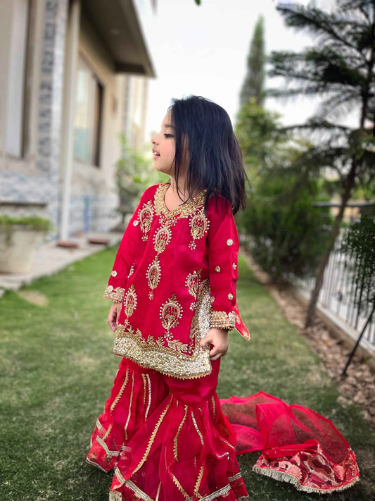 ORGANZA FABRIC KIDS COLLECTION WEDDING GHARARA FOR BARAT/WALEEMA