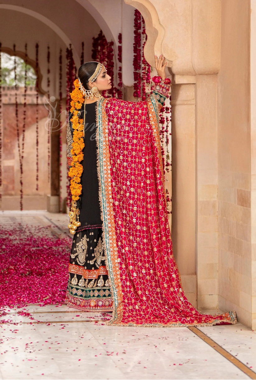 Karma Jahanara 498 Black Coal