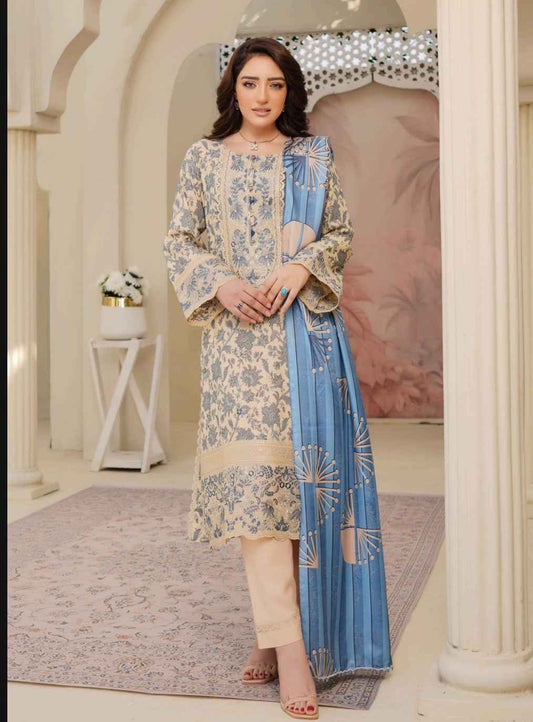 Dhanak Print Fabric Suit | Patch & Boring Work with Printed Shawl – Winter Collection