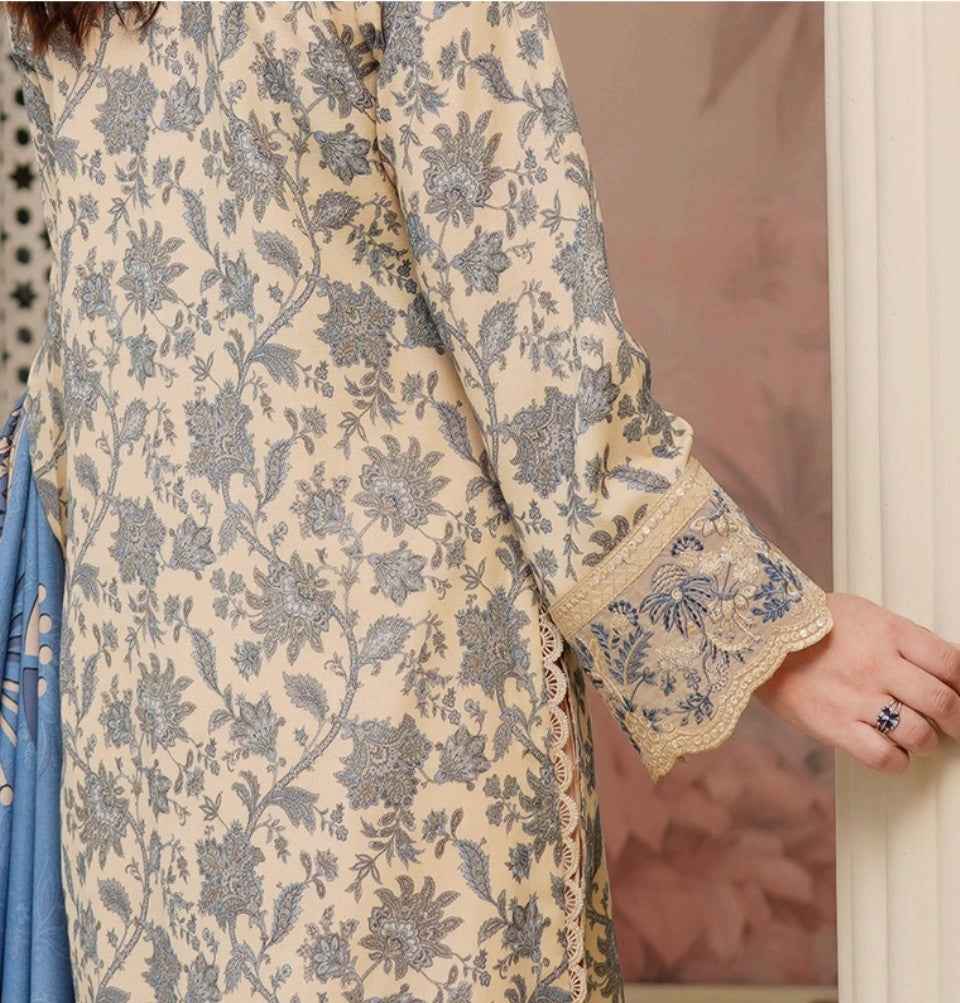 Dhanak Print Fabric Suit | Patch & Boring Work with Printed Shawl – Winter Collection