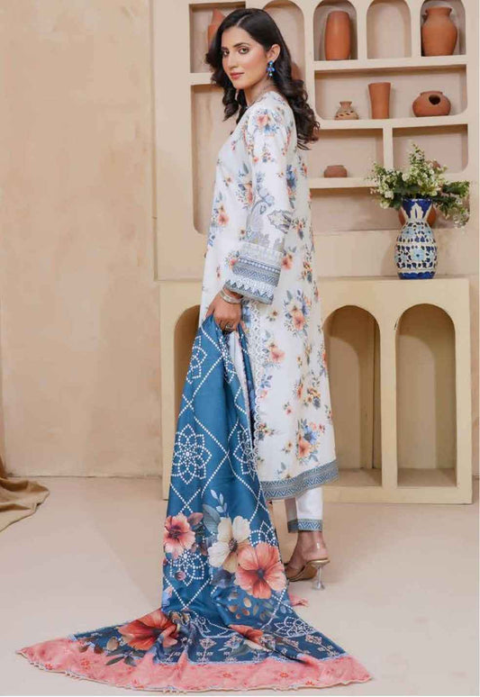 Dhanak Print Fabric Suit | Patch & Boring Work with Printed Shawl – Winter Collection