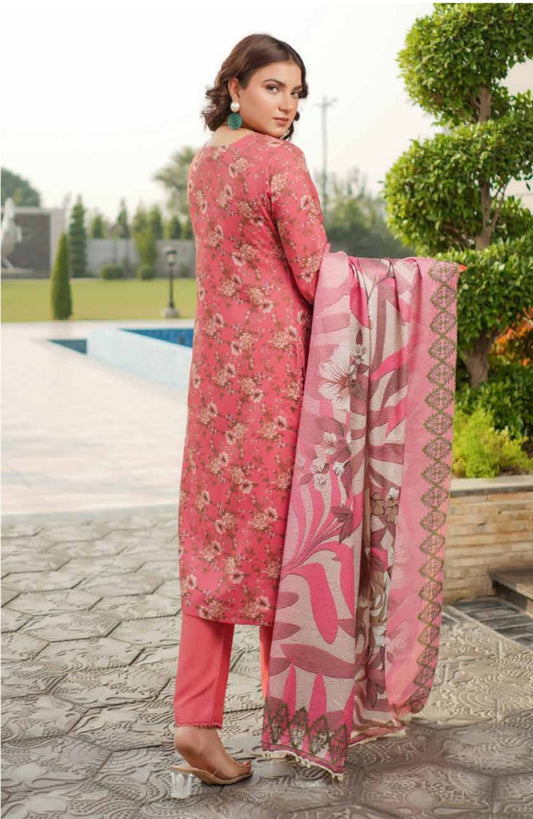 Dhanak Print Fabric Suit | Patch & Boring Work with Printed Shawl – Winter Collection