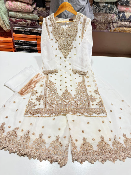 CHIFFON FABRIC Kids Collection Beautiful Embroided Dress