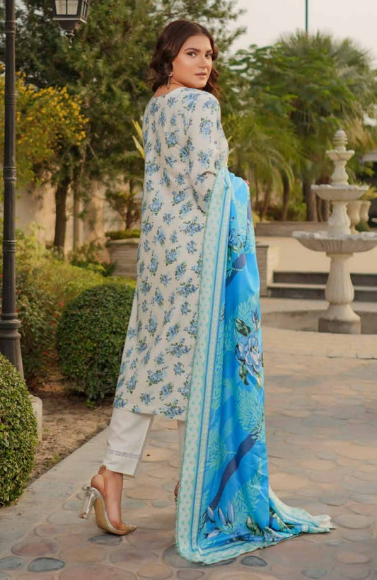 Dhanak Print Fabric Suit | Patch & Boring Work with Printed Shawl – Winter Collection