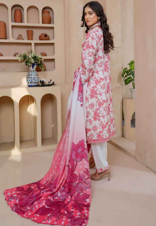 Dhanak Print Fabric Suit | Patch & Boring Work with Printed Shawl – Winter Collection