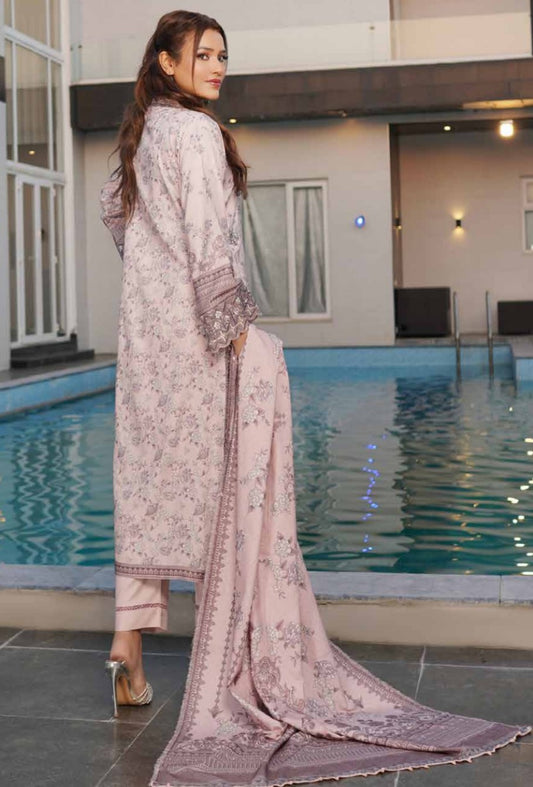 New Arrival Dhanak Collection | Elegant Patch & Boring Detailing