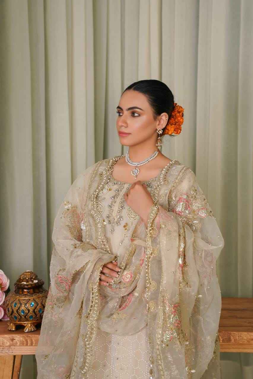 Ready To Wear – Organza Elegance with Graceful Detailing