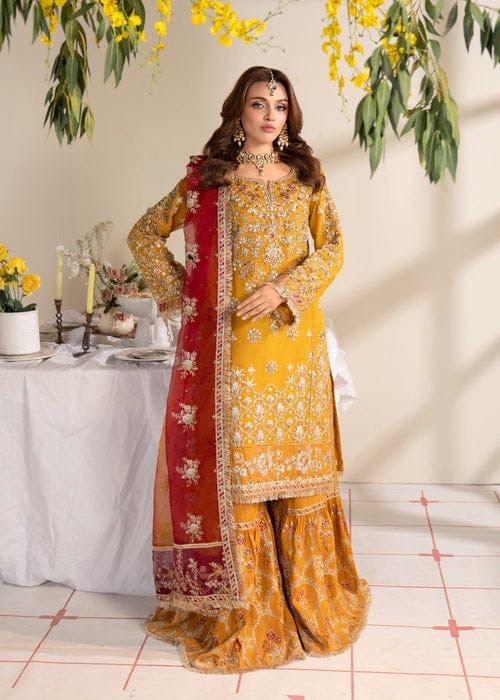 ✨ Maria B Luxury Organza Ensemble ✨