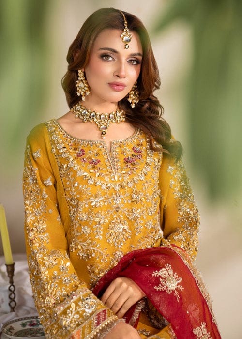 ✨ Maria B Luxury Organza Ensemble ✨