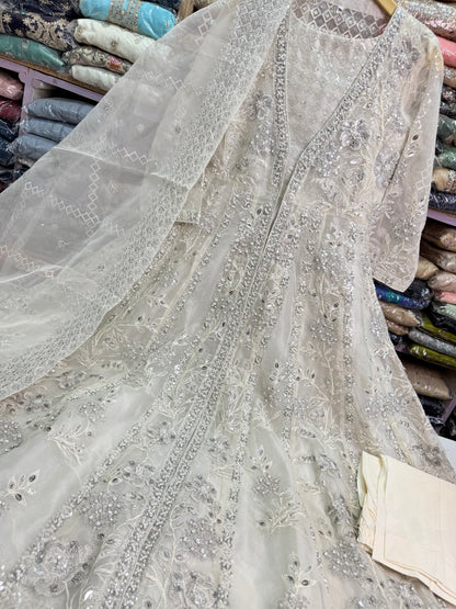 New Arrival Beautiful Maxi Walima And Barat Dress 2025