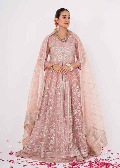 3 Piece Heavily Embroidered Wedding & Partywear Dress Collection 2025