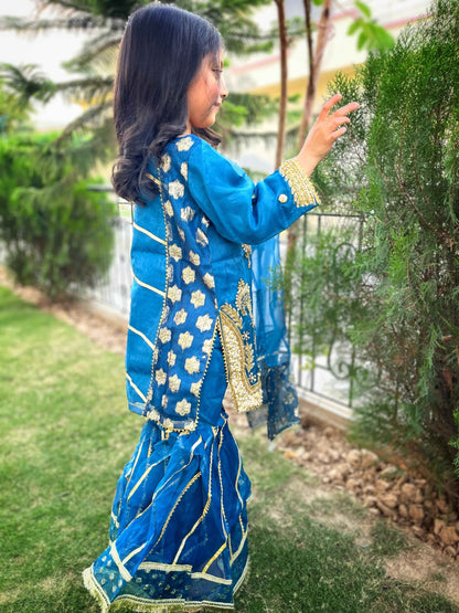 ORGANZA FABRIC KIDS COLLECTION WEDDING GHARARA FOR BARAT/WALEEMA