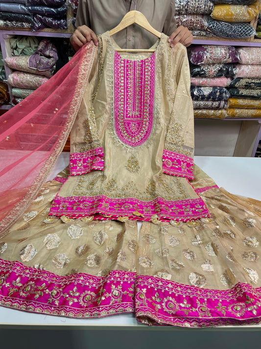 ORGANZA FABRIC 3-Piece Beautiful Embroidered Dress 2025