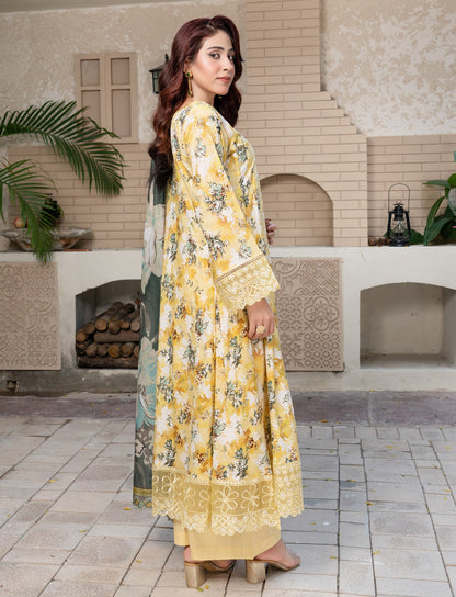 PB6458 Lawn Frock
