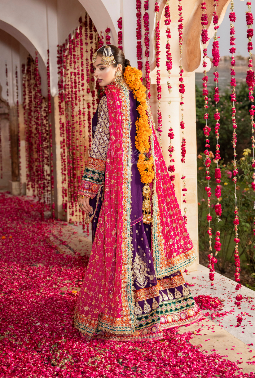 Karma Jahanara 498 Royal Purple