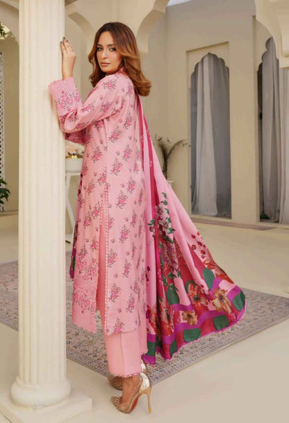 Dhanak Print Fabric Suit | Patch & Boring Work with Printed Shawl – Winter Collection