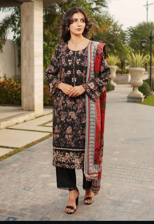 Dhanak Print Fabric Suit | Patch & Boring Work with Printed Shawl – Winter Collection