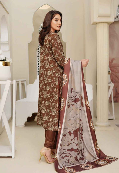 Dhanak Print Fabric Suit | Patch & Boring Work with Printed Shawl – Winter Collection