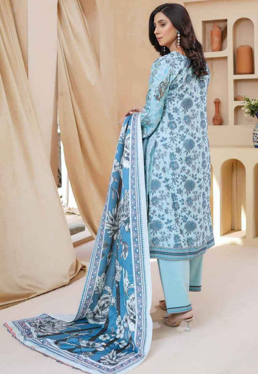 Dhanak Print Fabric Suit | Patch & Boring Work with Printed Shawl – Winter Collection