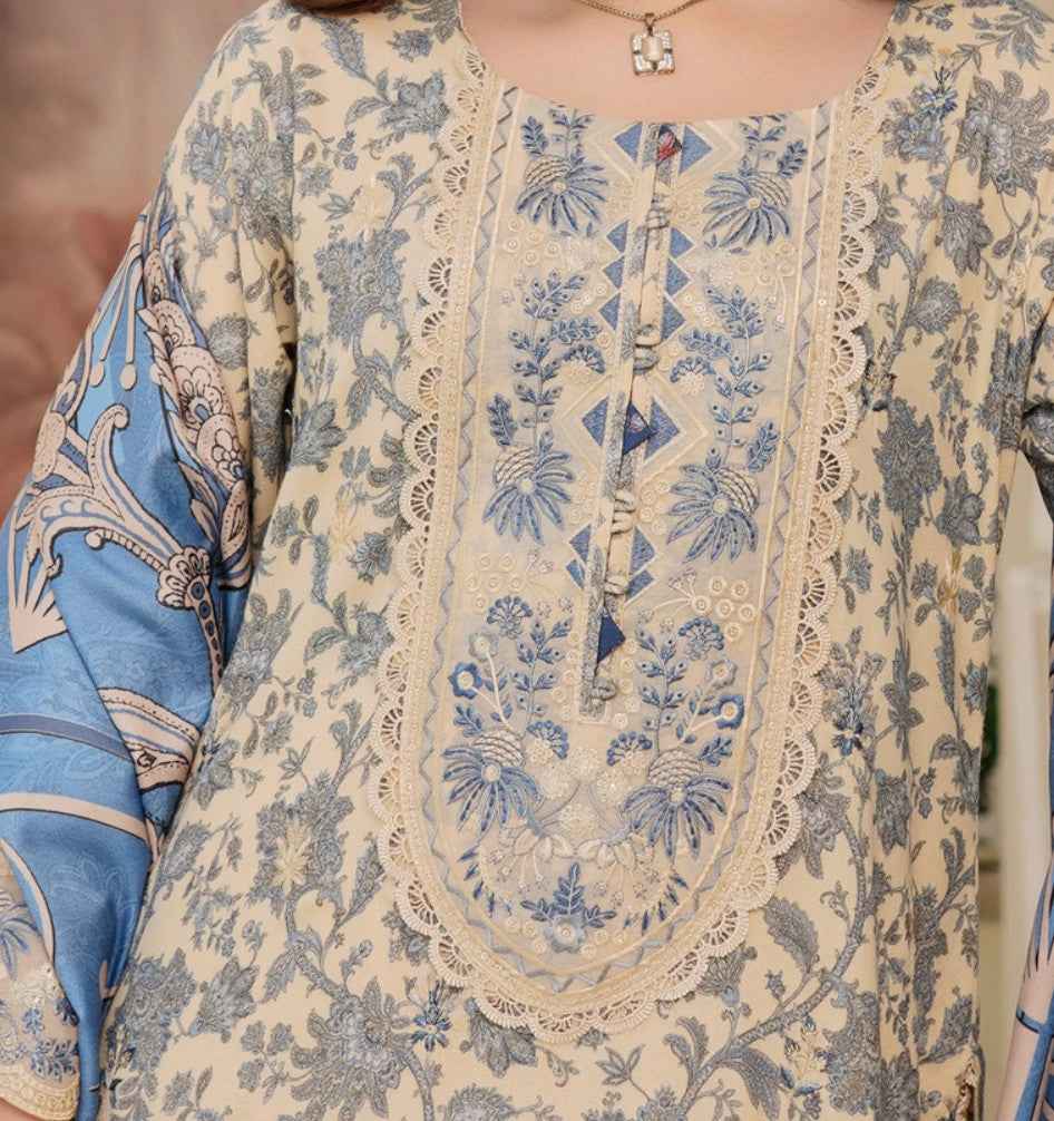 Dhanak Print Fabric Suit | Patch & Boring Work with Printed Shawl – Winter Collection