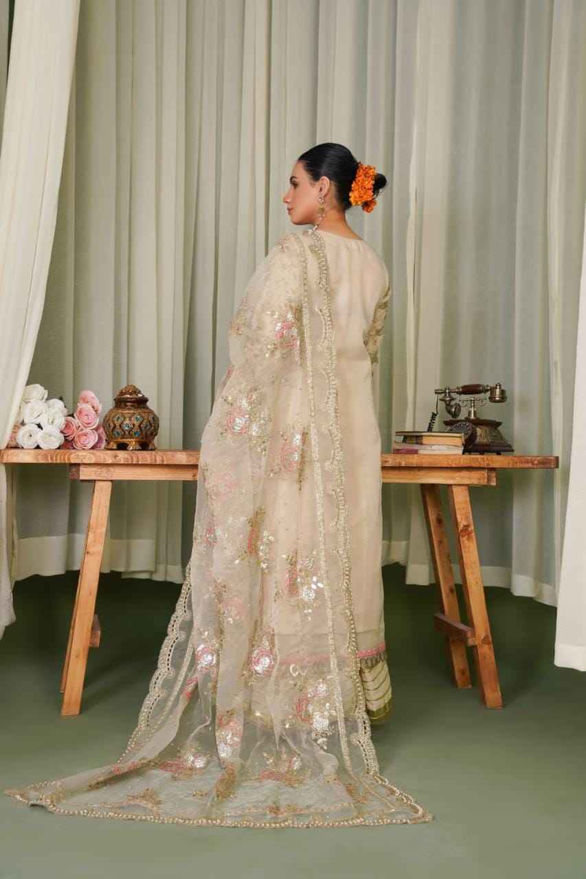 Ready To Wear – Organza Elegance with Graceful Detailing