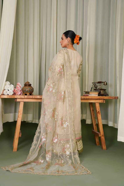 Ready To Wear – Organza Elegance with Graceful Detailing