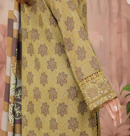 Dhanak Print Fabric Suit | Patch & Boring Work with Printed Shawl – Winter Collection