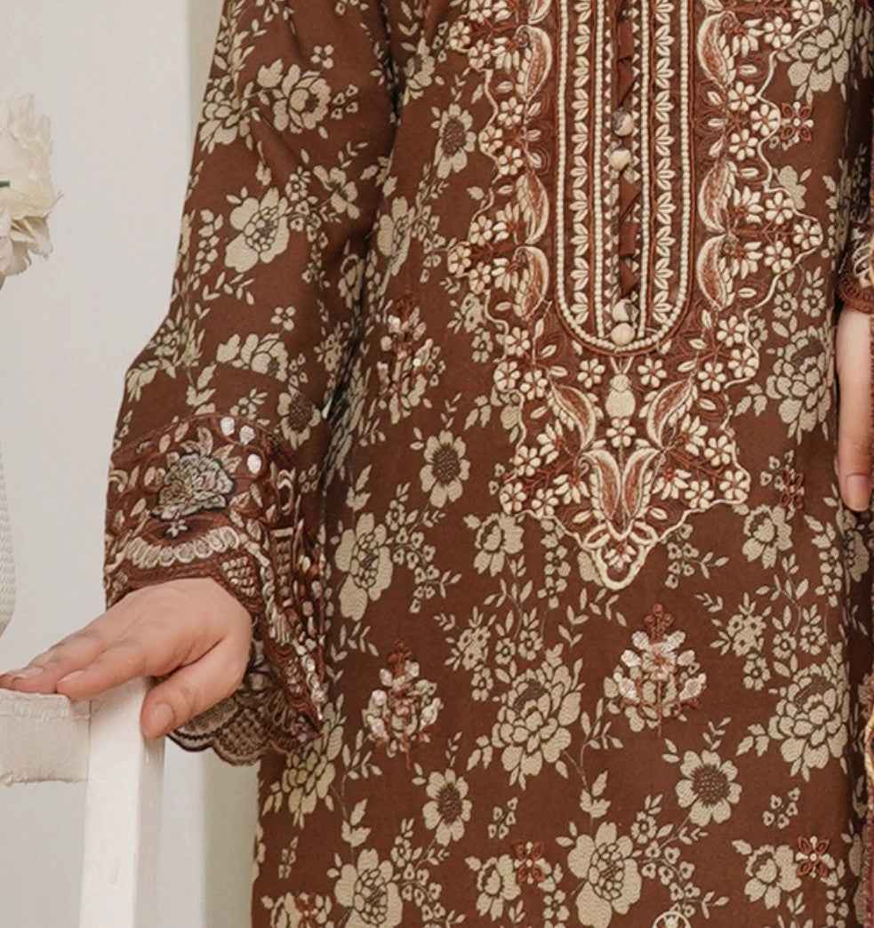 Dhanak Print Fabric Suit | Patch & Boring Work with Printed Shawl – Winter Collection