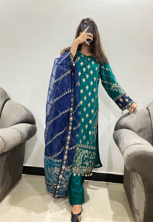 CHIFFON FABRIC Heavy Embroided Beautiful Dress