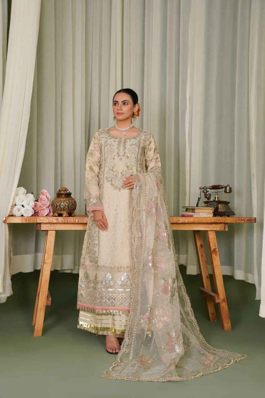 Ready To Wear – Organza Elegance with Graceful Detailing