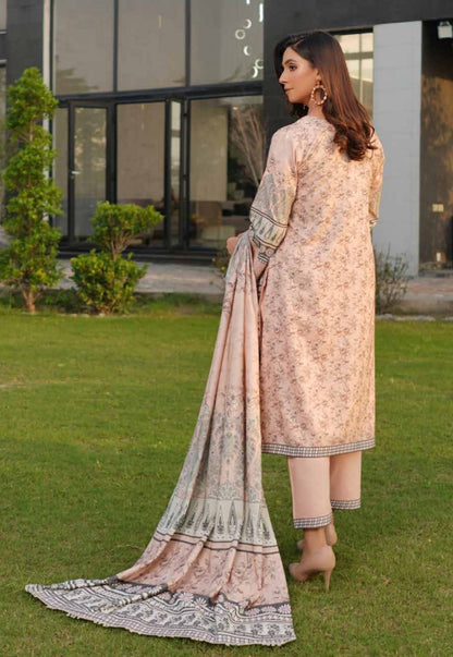 New Arrival Dhanak Collection | Elegant Patch & Boring Detailing