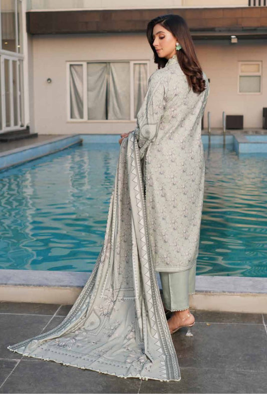 New Arrival Dhanak Collection | Elegant Patch & Boring Detailing
