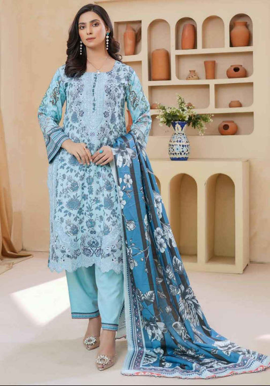 Dhanak Print Fabric Suit | Patch & Boring Work with Printed Shawl – Winter Collection