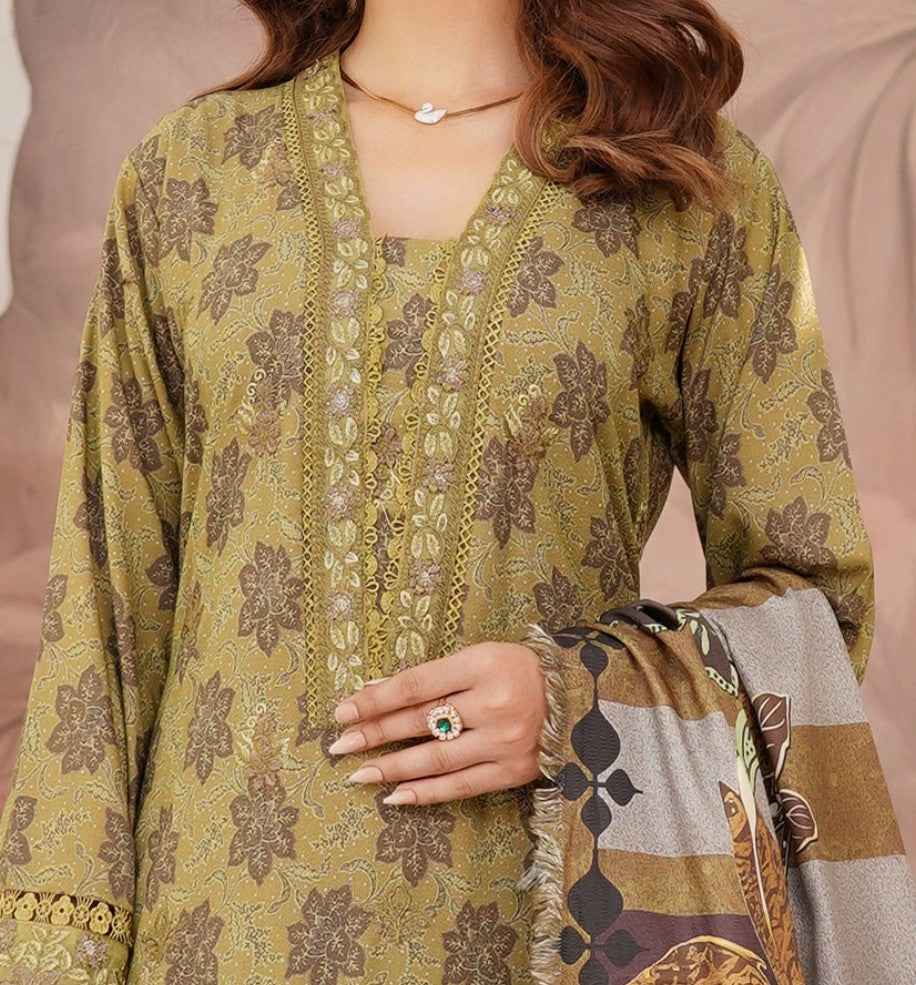 Dhanak Print Fabric Suit | Patch & Boring Work with Printed Shawl – Winter Collection
