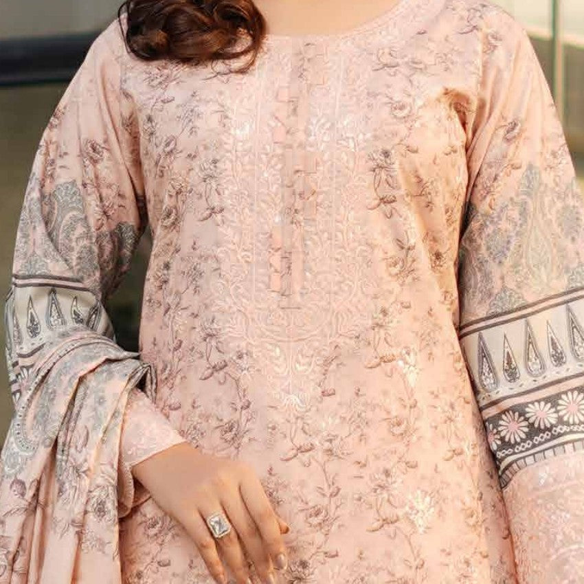 New Arrival Dhanak Collection | Elegant Patch & Boring Detailing