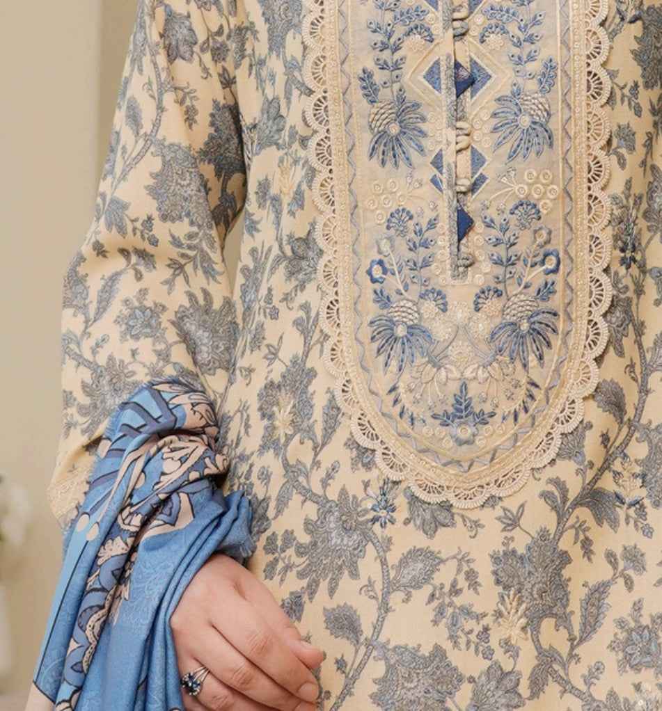 Dhanak Print Fabric Suit | Patch & Boring Work with Printed Shawl – Winter Collection