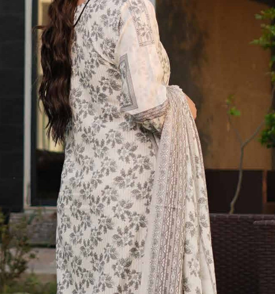 New Arrival Dhanak Collection | Elegant Patch & Boring Detailing