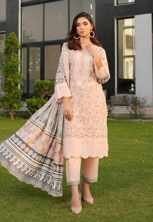 New Arrival Dhanak Collection | Elegant Patch & Boring Detailing
