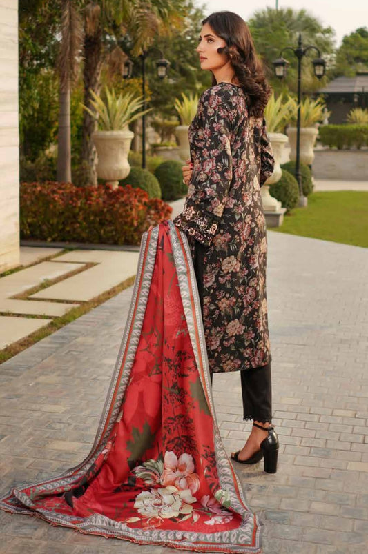 Dhanak Print Fabric Suit | Patch & Boring Work with Printed Shawl – Winter Collection