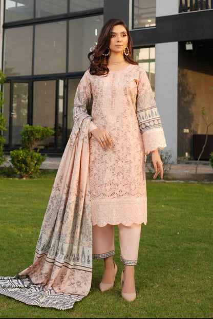 New Arrival Dhanak Collection | Elegant Patch & Boring Detailing