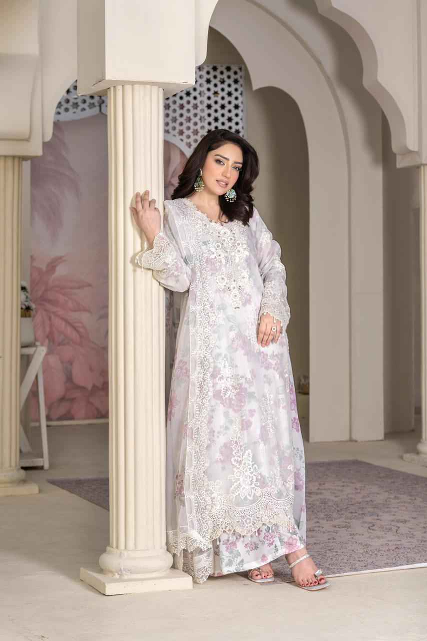 Organza Stuff | Festive Dress 2025