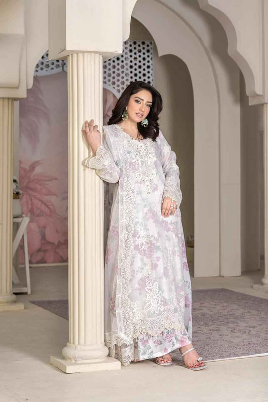 Organza Stuff | Festive Dress 2025