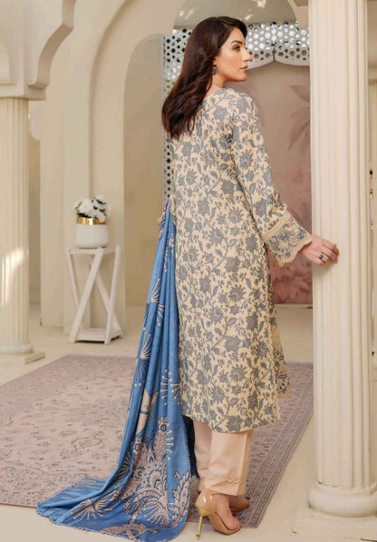 Dhanak Print Fabric Suit | Patch & Boring Work with Printed Shawl – Winter Collection