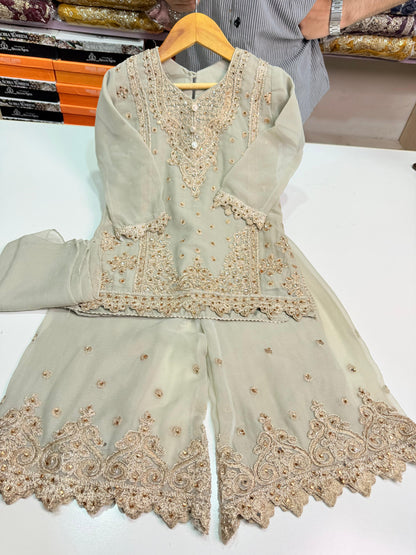 CHIFFON FABRIC Kids Collection Beautiful Embroided Dress