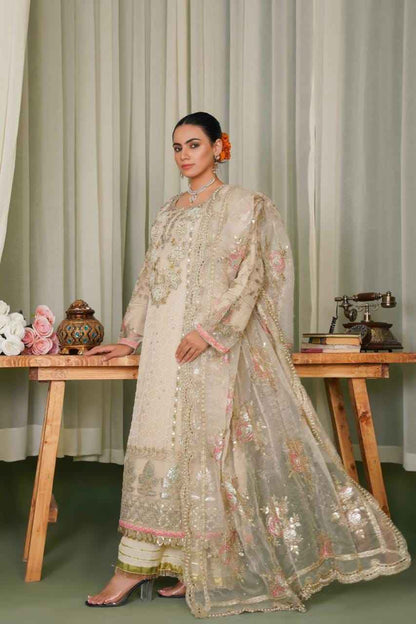 Ready To Wear – Organza Elegance with Graceful Detailing