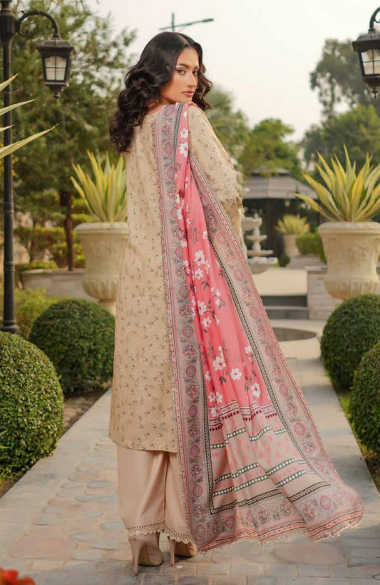 Dhanak Print Fabric Suit | Patch & Boring Work with Printed Shawl – Winter Collection