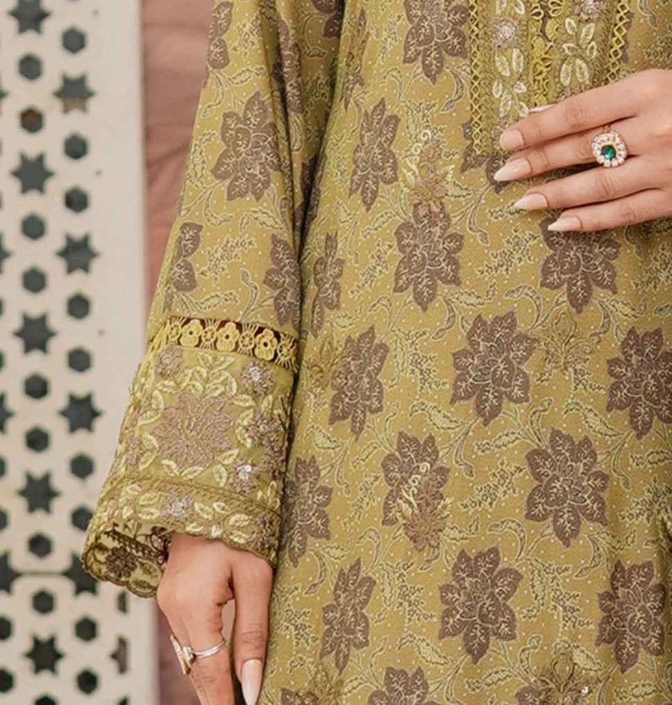 Dhanak Print Fabric Suit | Patch & Boring Work with Printed Shawl – Winter Collection